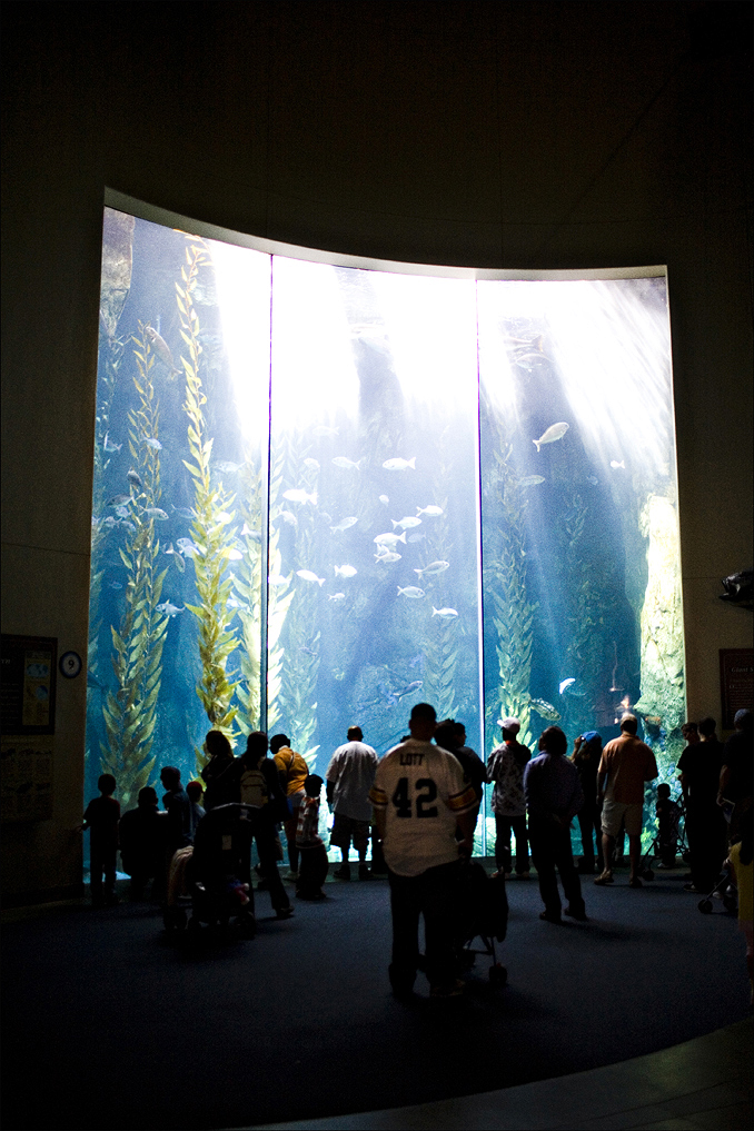 aquarium001.jpg