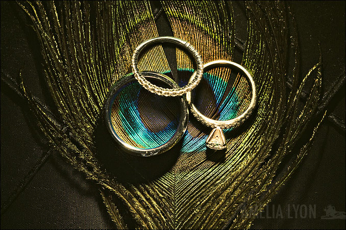 rings015.jpg