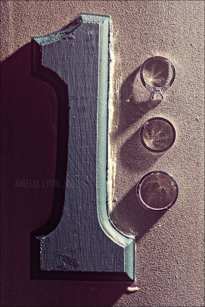 bestof2011_rings018.jpg