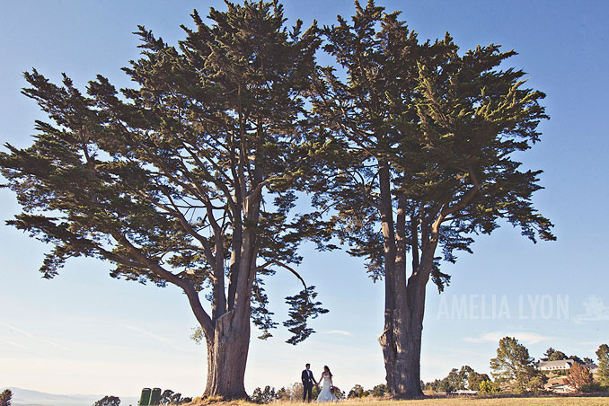 dd_bay_area_claremont_hotel_wedding_amelialyon_0001.jpg