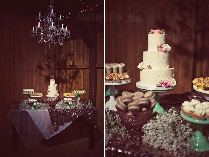 oakglen_wedding_winter_rileys_farm_amelia_lyon_photography_0050.jpg