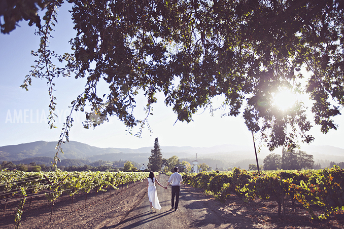 bestof2013_engagementportraits_amelialyonphotography_orangecountyphotographer_004.jpg