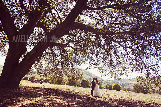 bestof2013_weddingphotography_amelialyon_orangecountyweddingphotographer_012.jpg