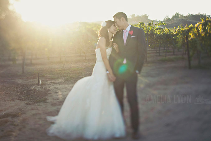 bestof2013_weddingphotography_amelialyon_orangecountyweddingphotographer_053.jpg