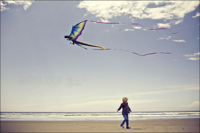 kites004.jpg