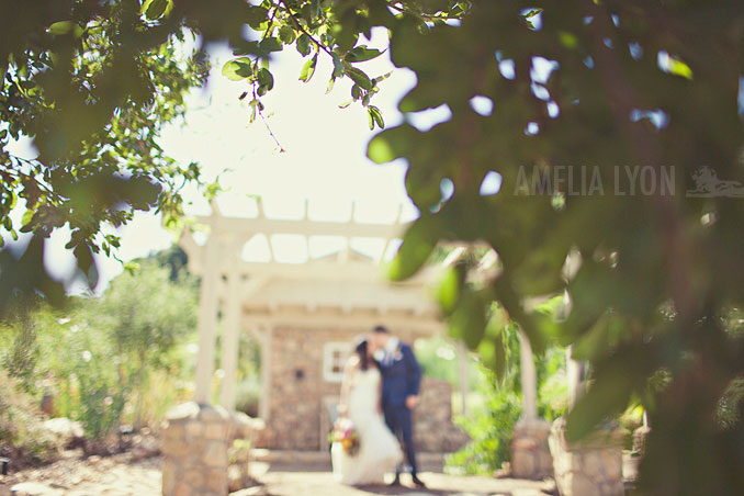 ojai_wedding_californiawedding_amelialyonphotography_gbwed_colorfulwedding_019.jpg